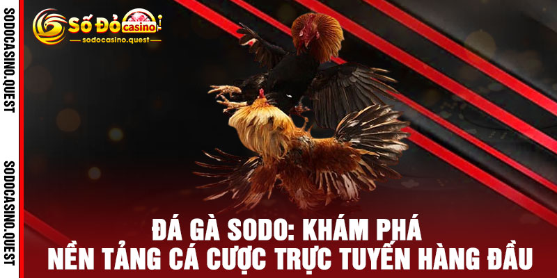 Đá Gà SODO - Cược CHUẨN So Kè, Thắng ĐẬM Rinh QUÀ KHỦNG 2 Đá Gà SODO: Khám Phá Nền Tảng Cá Cược Trực Tuyến Hàng Đầu