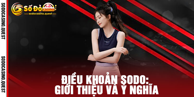 Điều Khoản SODO - Minh bạch, rõ ràng, công bằng - Cùng bạn trải nghiệm dịch vụ 1 Điều Khoản SODO: Giới thiệu và Ý nghĩa