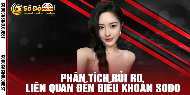 Điều Khoản SODO - Minh bạch, rõ ràng, công bằng - Cùng bạn trải nghiệm dịch vụ 2 Phân tích rủi ro liên quan đến Điều Khoản SODO