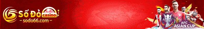13 banner gif sodo